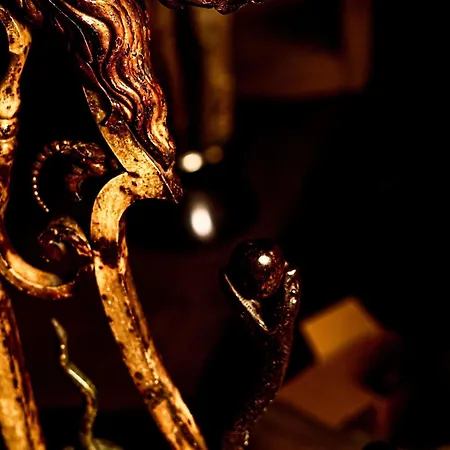 La Cour Des Consuls Hotel & Spa Toulouse - Mgallery Collection-3